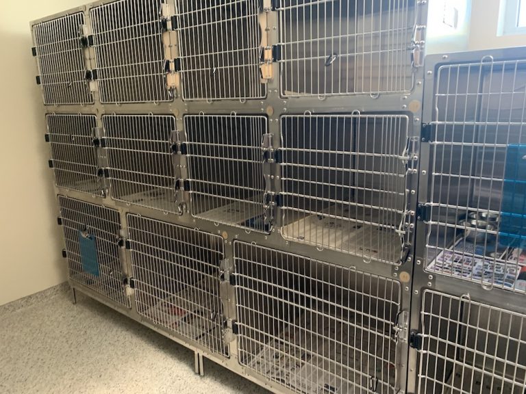 Used 9' Shoreline Cage Bank for Sale Greg's News